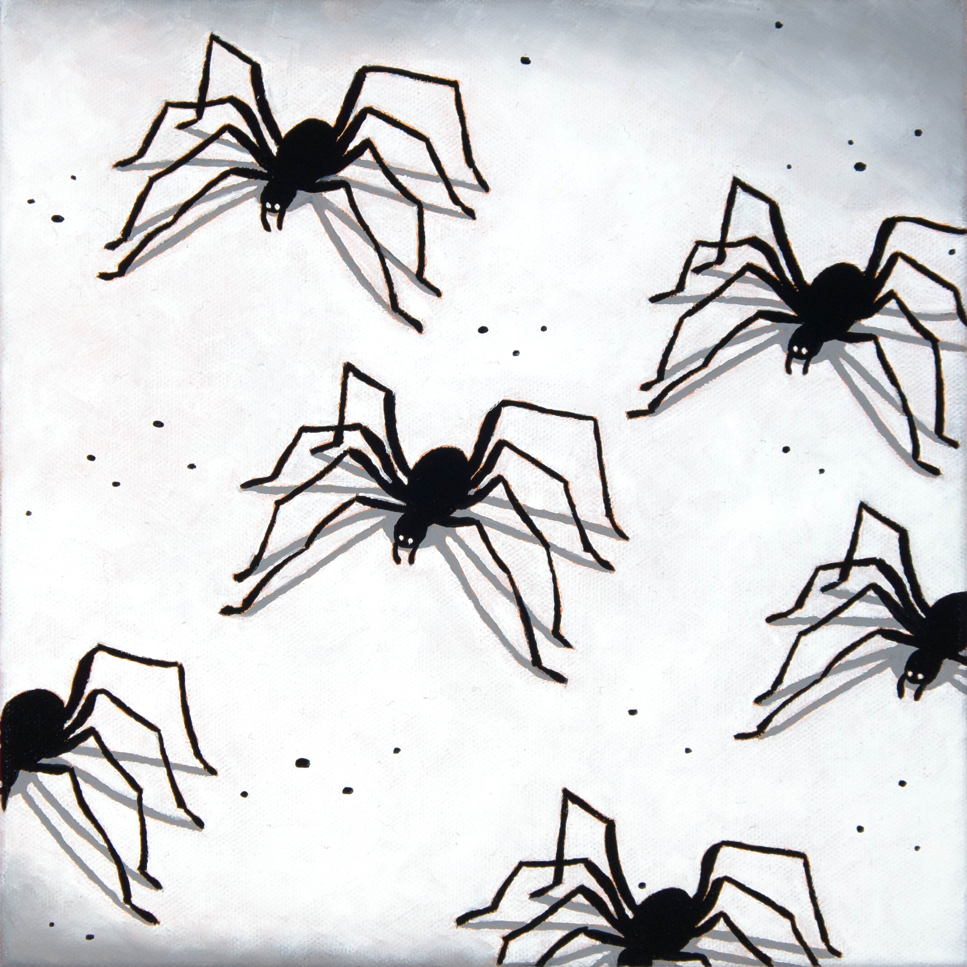 SPIDERS WAY