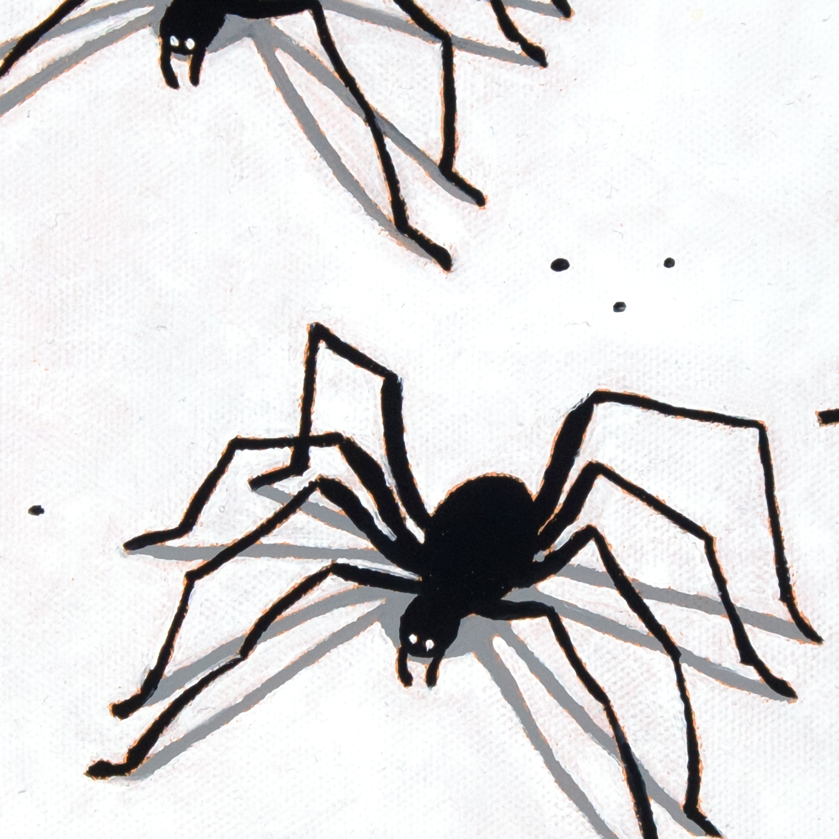 SPIDERS WAY