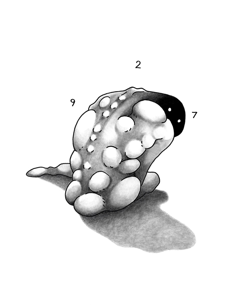 "A Servants Anatomy"