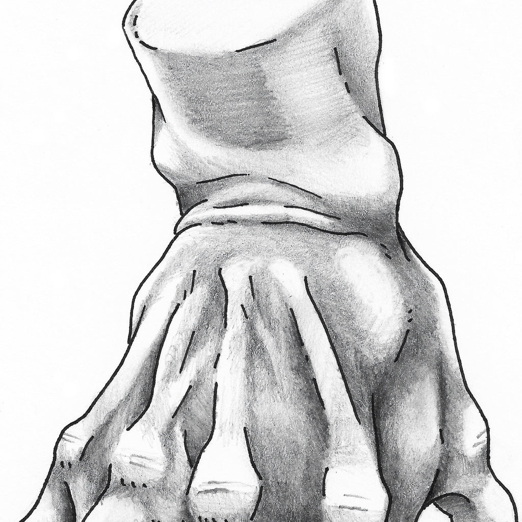 BROKEN WHOLE