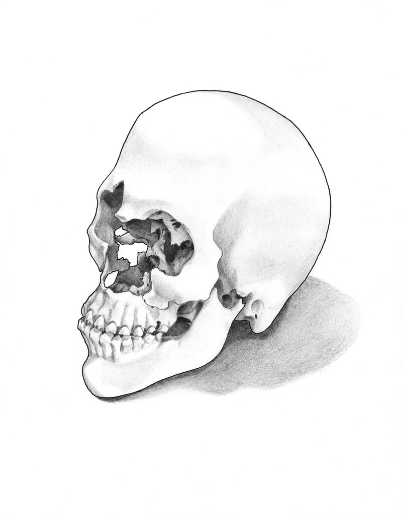 "Law of Thermal Dynamics"