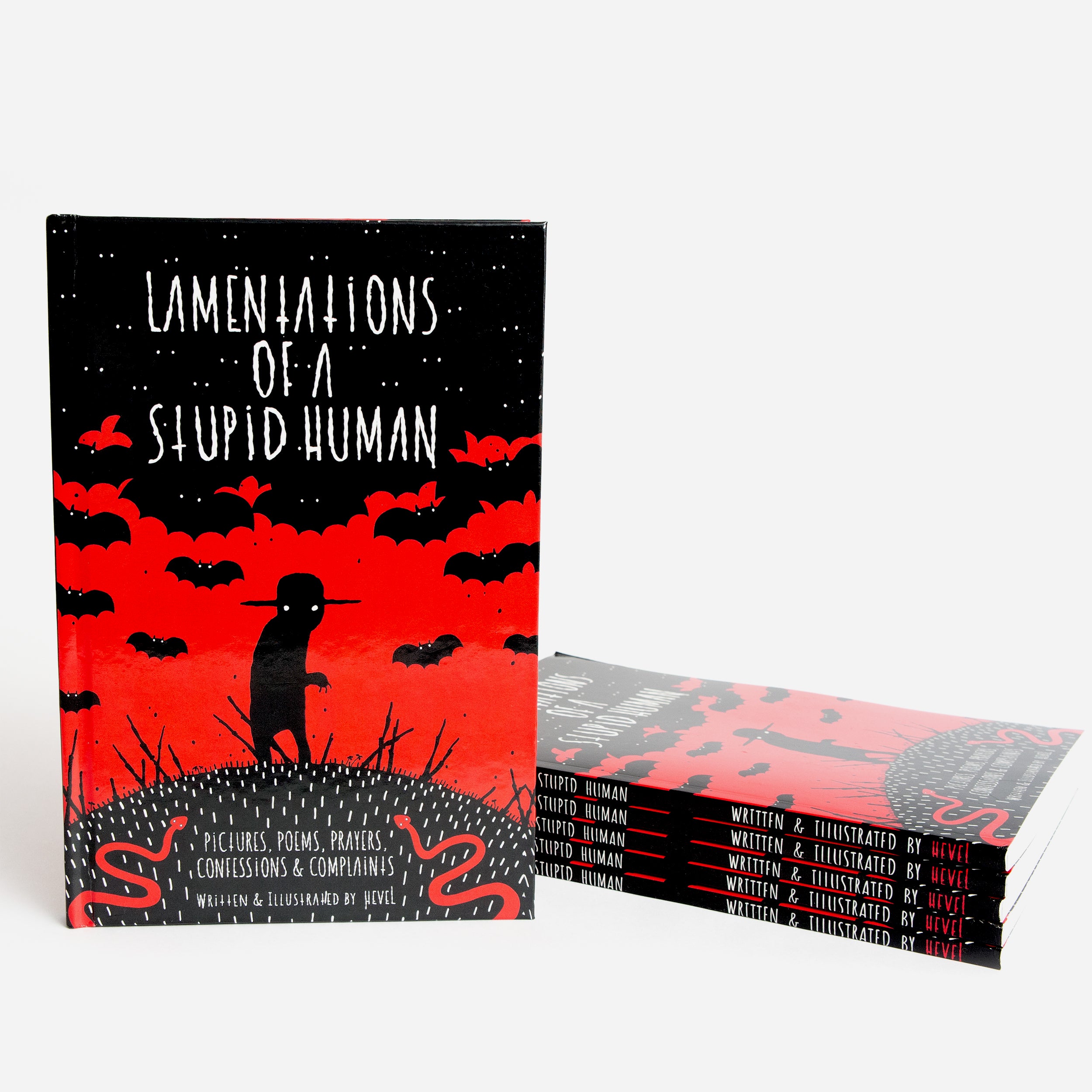 LAMENTATIONS OF A STUPID HUMAN