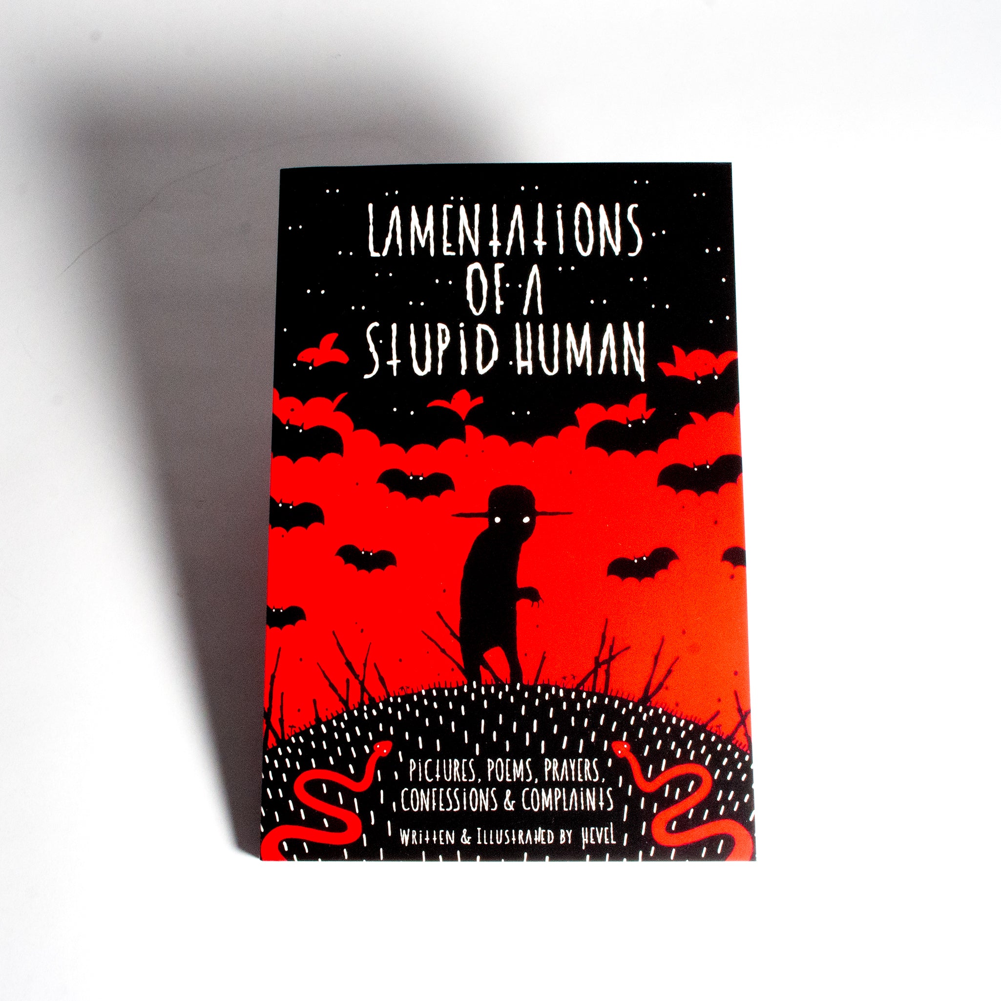 LAMENTATIONS OF A STUPID HUMAN